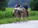 Wanderreiten