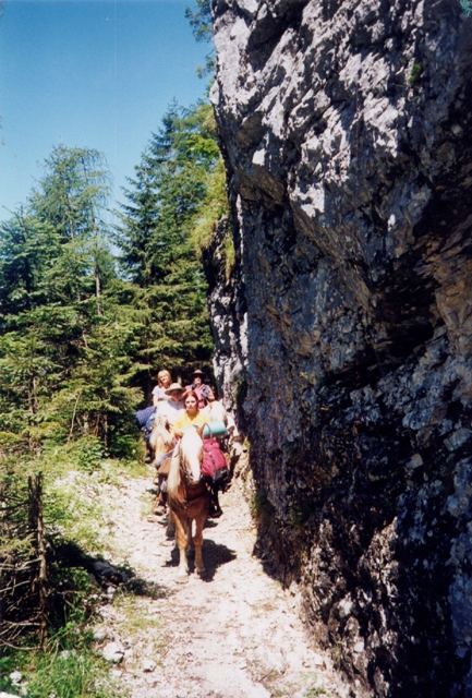 Unbenannt-1 Kopie.jpg