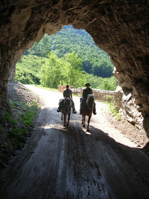RIMG0331.jpg