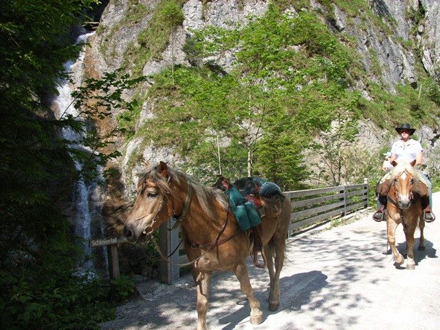 RIMG0296.jpg