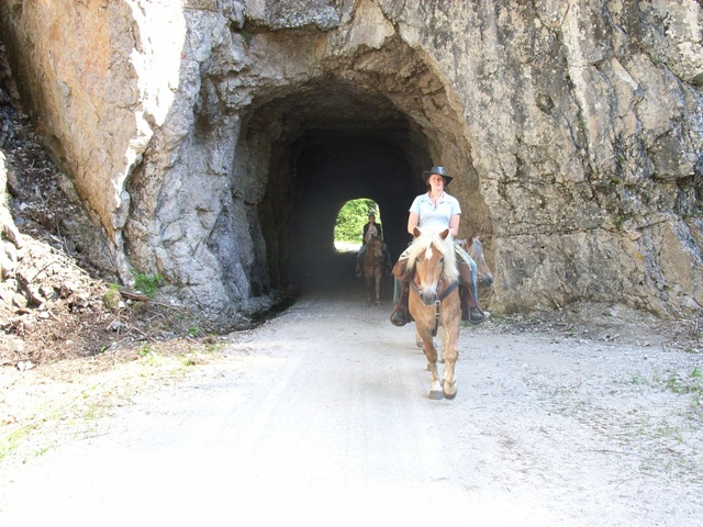 RIMG0291.jpg