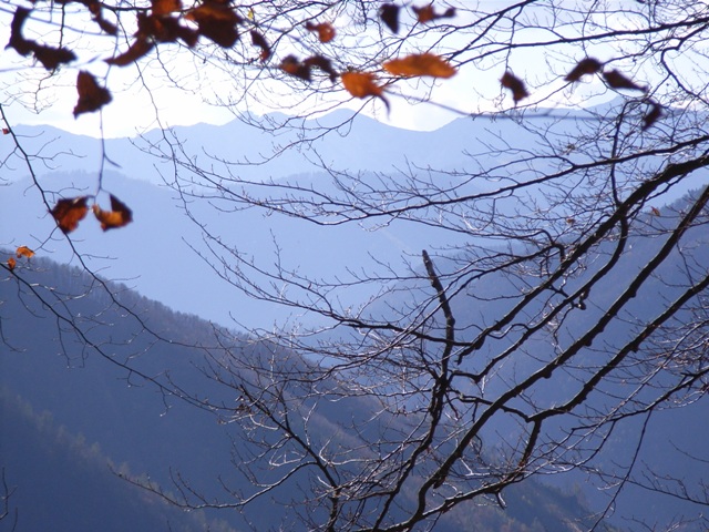 RIMG0100.JPG
