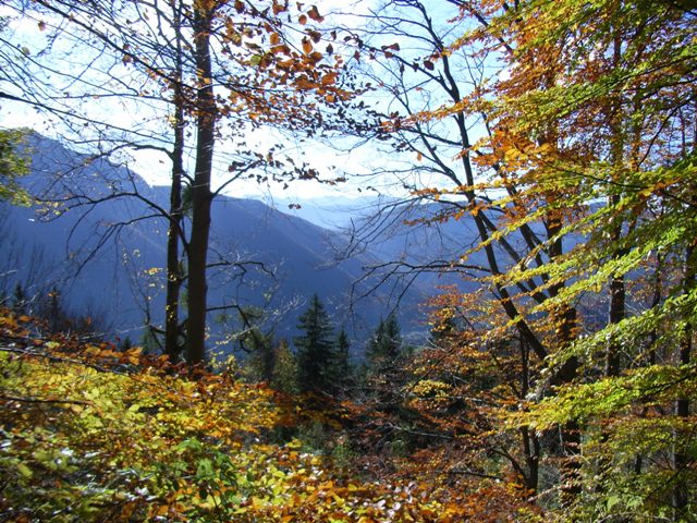 RIMG0098.JPG